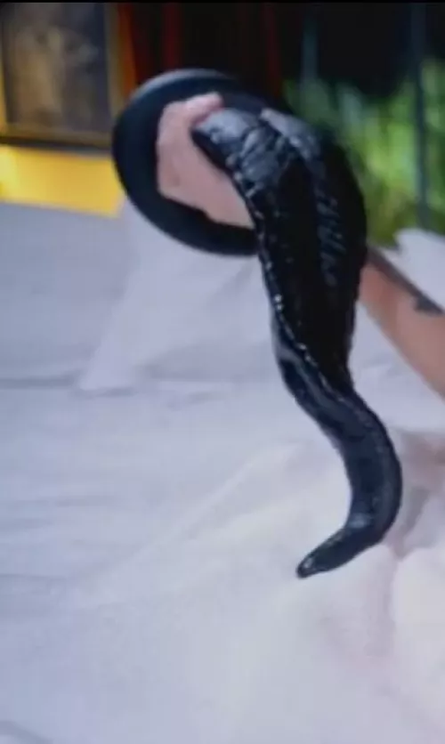 Help finding tongue/tentacle dildo by No_Occasion_7760