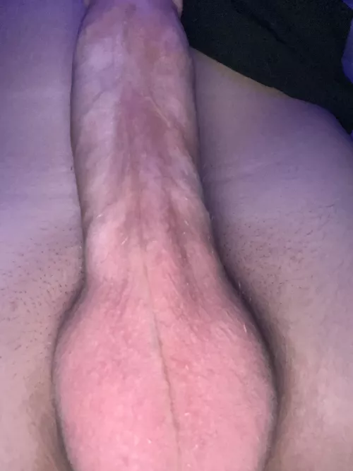 Help I need to get hard by No-Fennel-4374