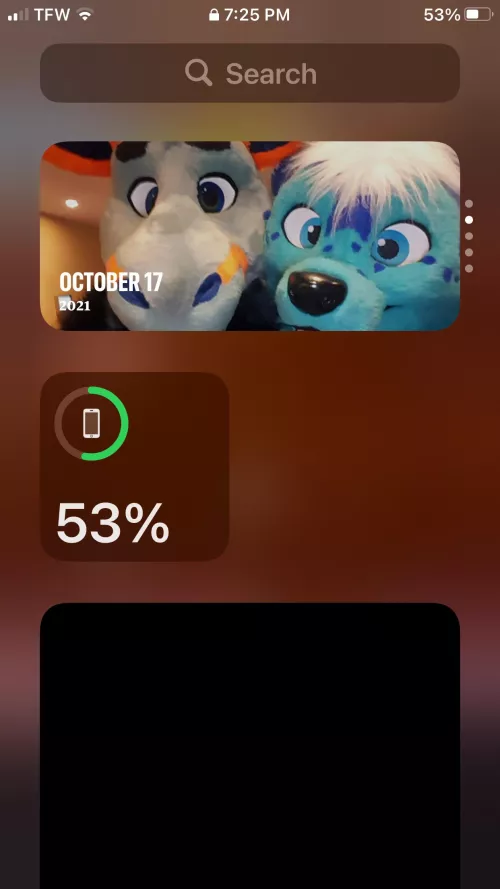 Help. I need to know how to get rid of this display on my iPhone because I’m a closeted furry and you know. by sissydog12