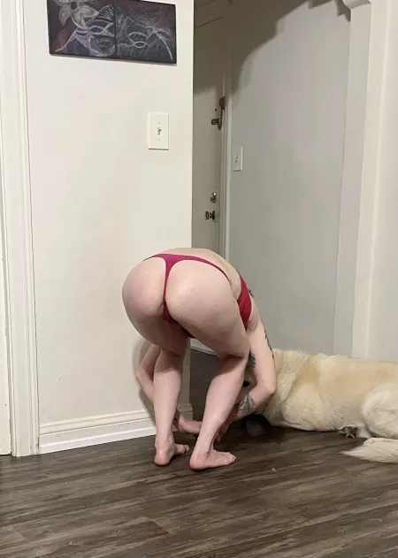 Here is a candidate picture my husband took. I hope you enjoy it [f] by bluewillow27