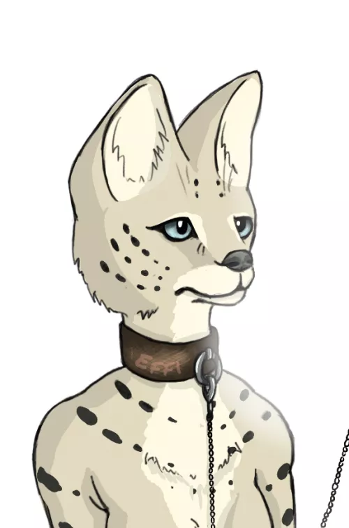 Here is Sava! She is a serval cat (art by me/Effi) by EffiEvilmeow