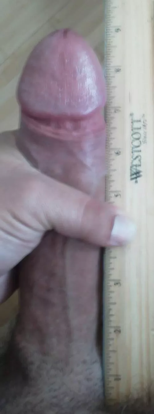 Here kitty kitty!!! Wanna play? by Hardd9