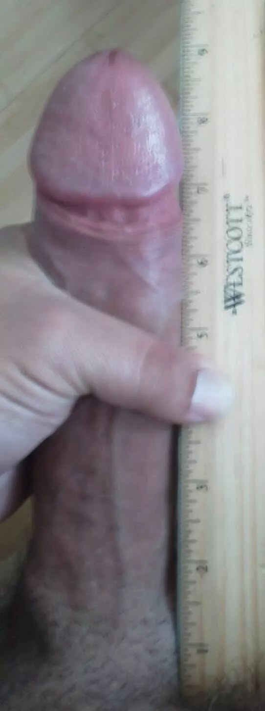 Here kitty kitty!!! Wanna play? posted by Hardd9