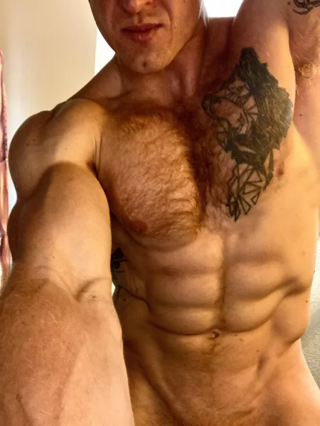 Here, let me put you in your place. by LevLieben