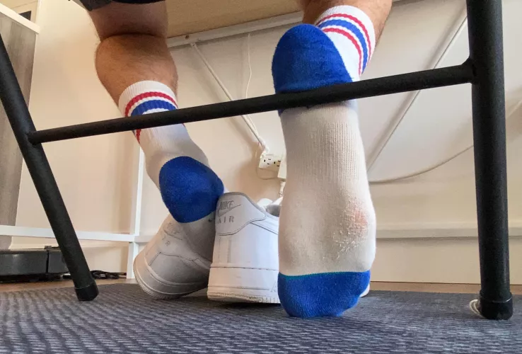 Here u pigs go 🐽 by 4Lofti