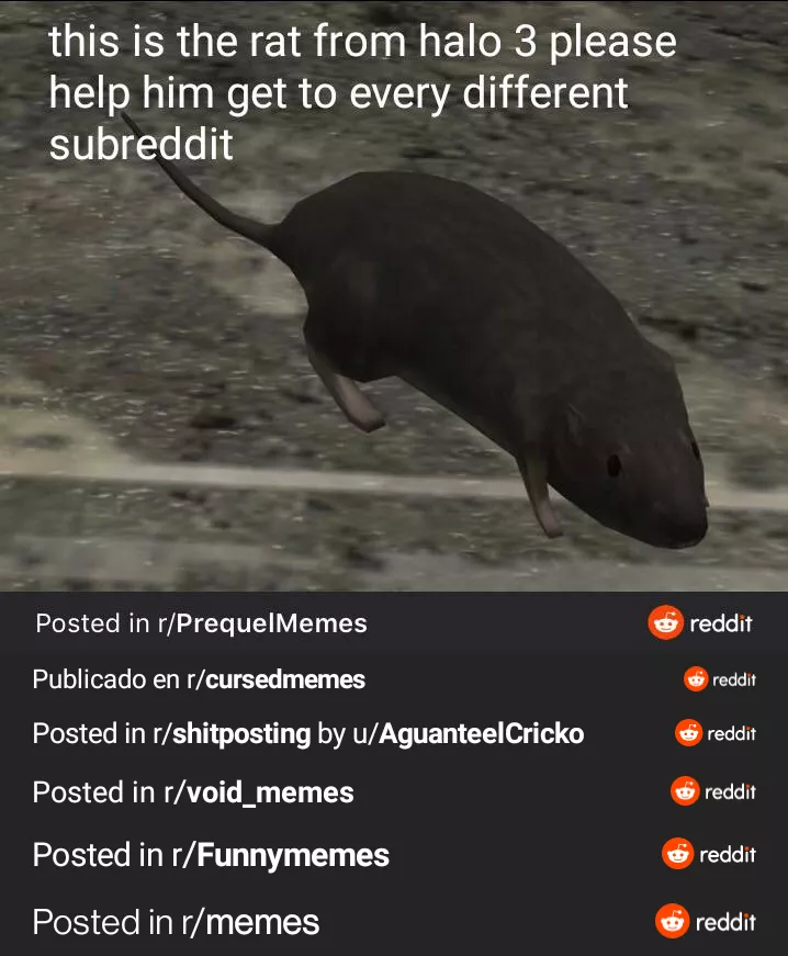 Here's a good place for him next posted by Lt_brimprick