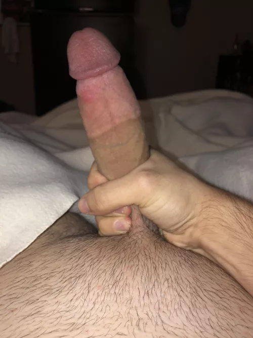 Here’s a look at my cut cock by -ABunchOfBullshit-