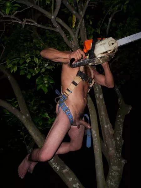 he's a lumberjack, and he's ok by spooktree