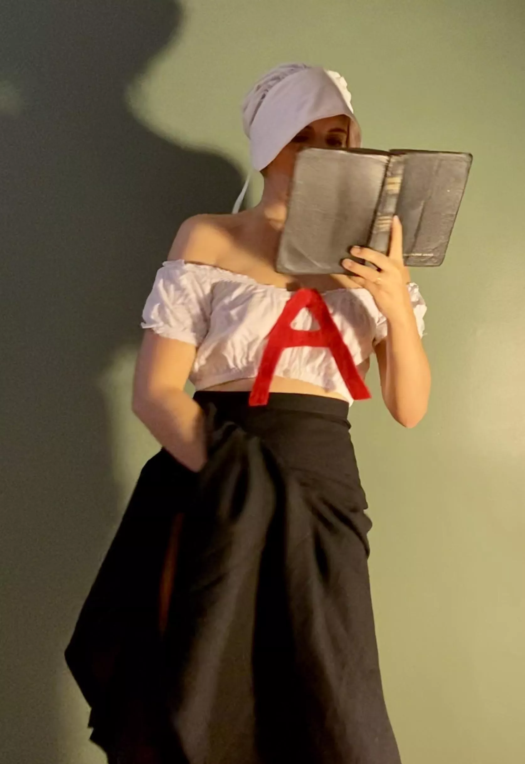 Hester Prynne Reads a Book posted by mrs_kinkybooks