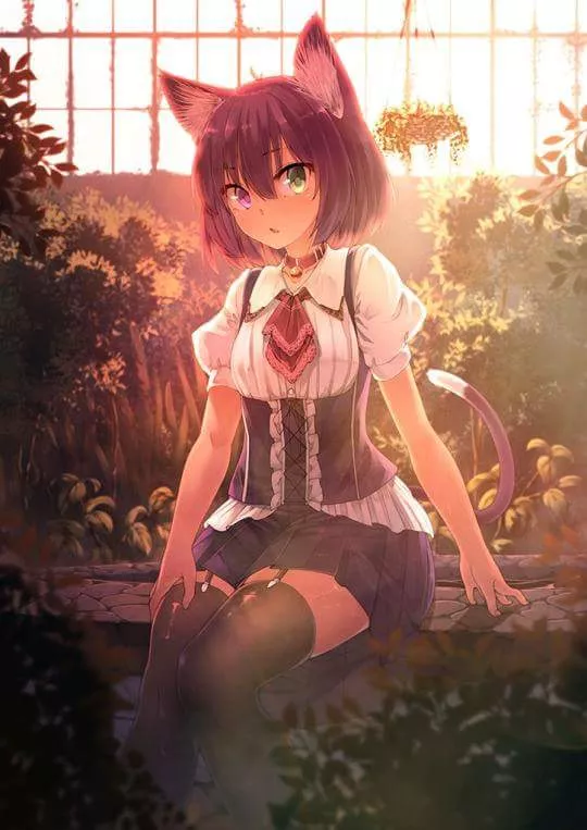 Heterochromia and ZR in a garden posted by D45_B053