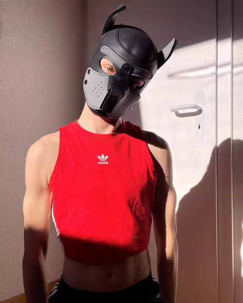 hewlo! 🐕 by puppyrufus