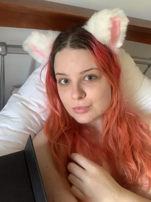 Hewwo I’m new, pwease be nice 👉🏻👈🏻 by isobellie7