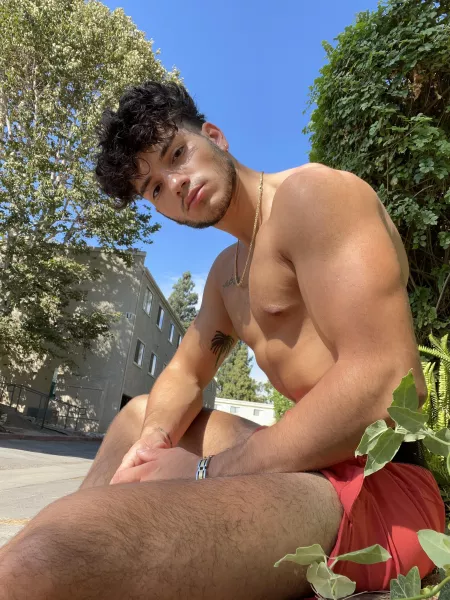 Hey by champvgnetears