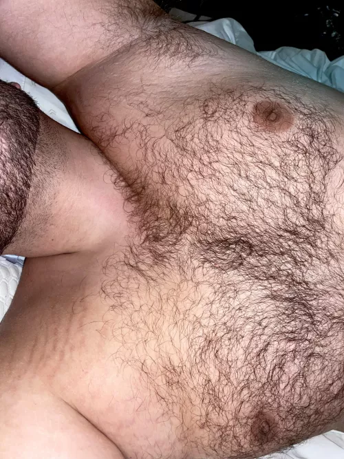 Hey🐻 by Hairbair12