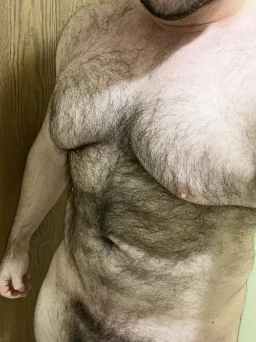 Hey cutie😉 If you’re cold you can cuddle up in my fur. by jewbearboy