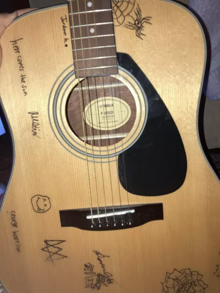 Hey furry friends what should I draw on my guitar? by Weak_Bite6220
