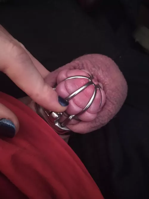 Hey how is lockober going sissies ? Mine is great 🥰 by sissy_Jeyda