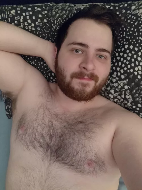 Hey! How's it going 🙂 by TheRoyalLemon