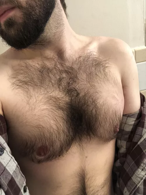 Hey, I just wanted to introduce myself and say hello. I recently accepted my bisexuality and my interest in other bears, and it looked like this might be a good place to explore the scene (esp. daddy bear tops!) by Dracuvula