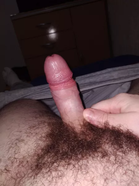 Hey juuude by coyoitus