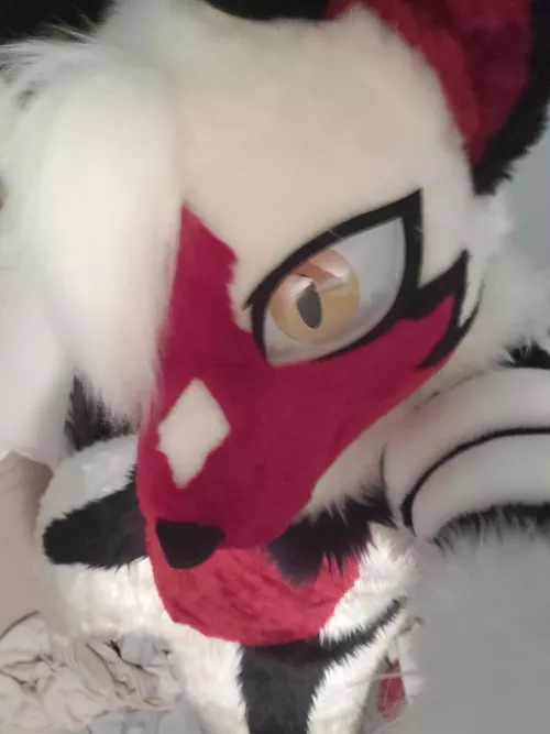 hey there by PreyingShark