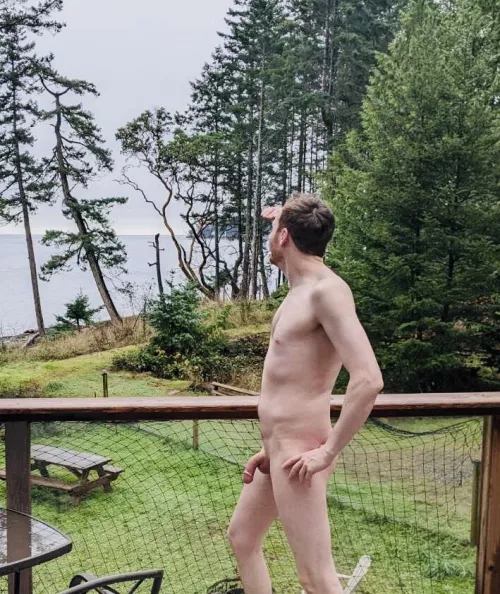 Hey what’s over there?! by anonymouspie420