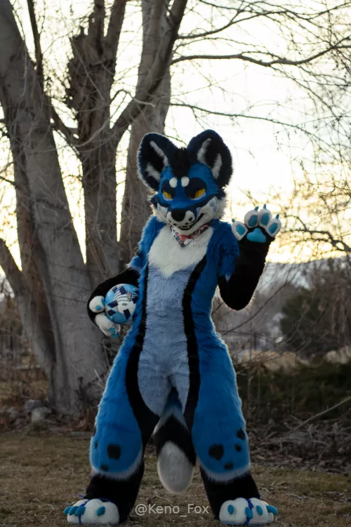 Hey you, lets play ball! by X-Ray_Dog