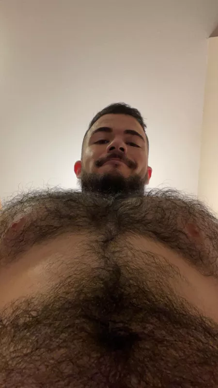 Hey by akafamilyfunny