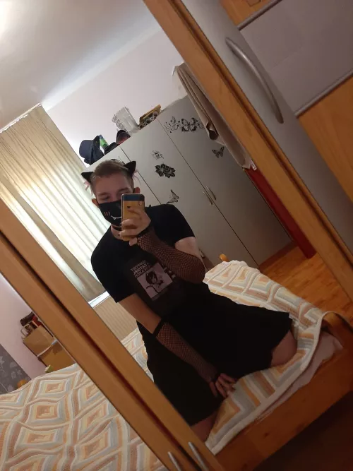 Heyoo, this is my first post here, please be nice ฅ^•ﻌ•^ฅ by gaylessplayer