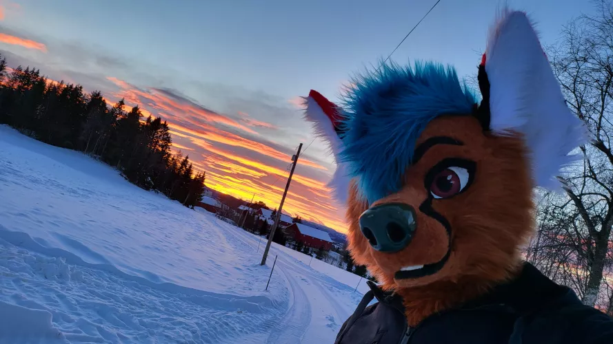 Hi 🦊 by _Sly-Fox_