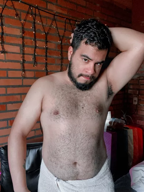 Hi bears 🐻✨ by daskun