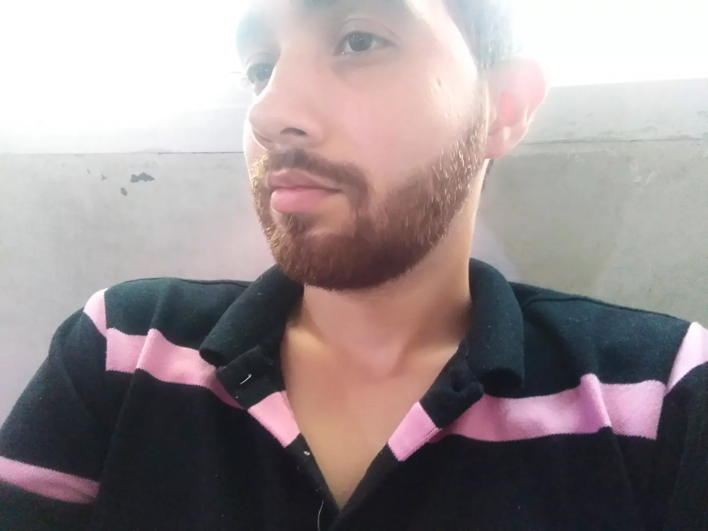 Hi:) posted by gingercheetos