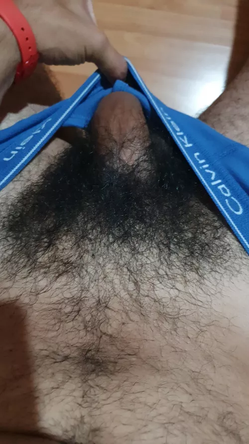 Hi. do you like blue? I am looking for someone to talk and exchange with.I would like to practice my English. by zag869