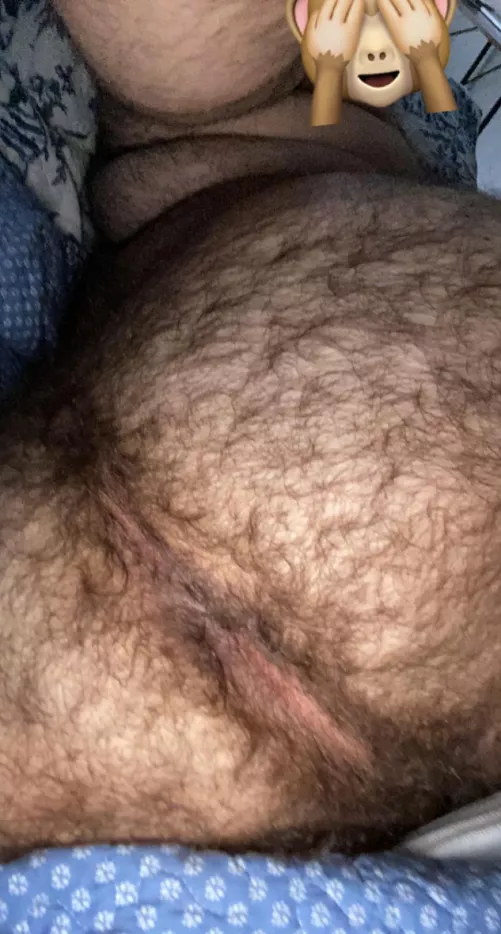 Hi everyone :) by beardedfaqqot