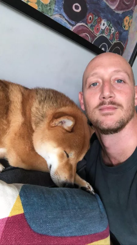 Hi guys! Lazy day in Milano! 💤 🐕 🙃 @tokyo.theshiba IG by redstefano