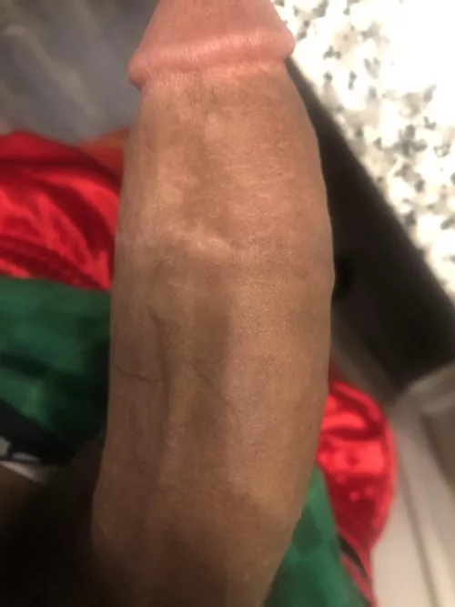 Hi hi by Responsible-Union314