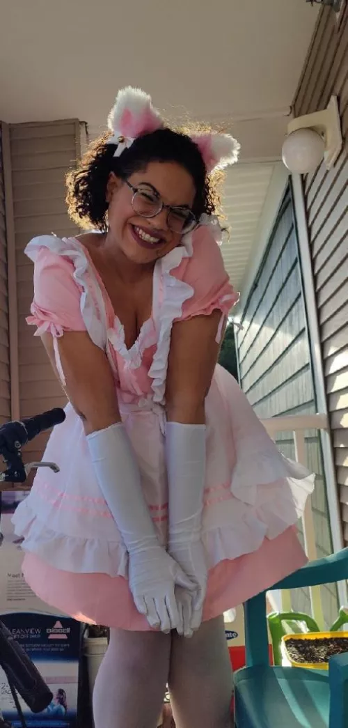 Hi im a newb kitten 😸 by sirisoexa