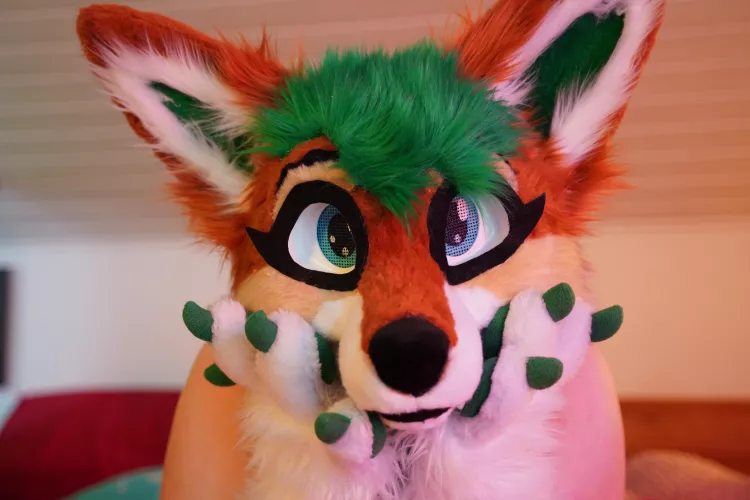 Hi, i'm absolutely new here on reddit and want to make some friends. My name is furry_foxxy and i'm a live streamer by FurryFoxxyStream
