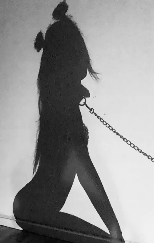 Hi, I’m new here <3 by ashleyleetaylor