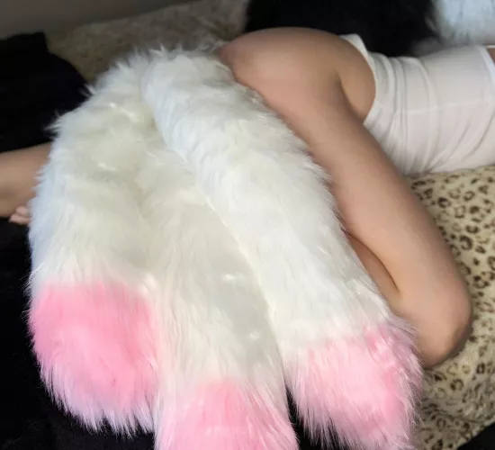 Hi! I’m new here by Sparrow_stardancer