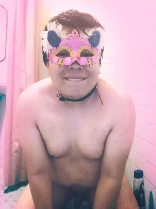 Hi, is there any pup who wants to chase this cat? by Cutekatboi3