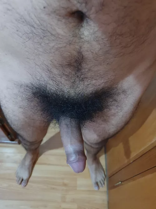 hi. les playing with me. looking hot man hairy man here snatchap? by zag869