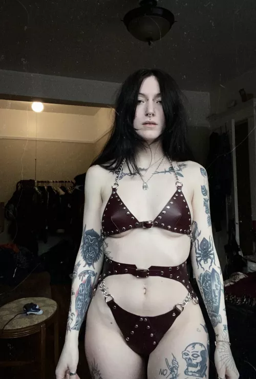 hi 🧛🏻‍♀️ by hal666y