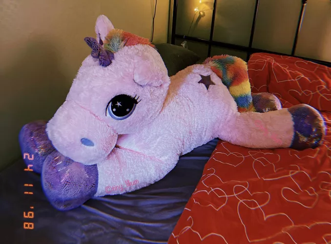 Hi 👋 New here! Any name suggestions for my newest stuffie? 🦄 by tiny_lilium