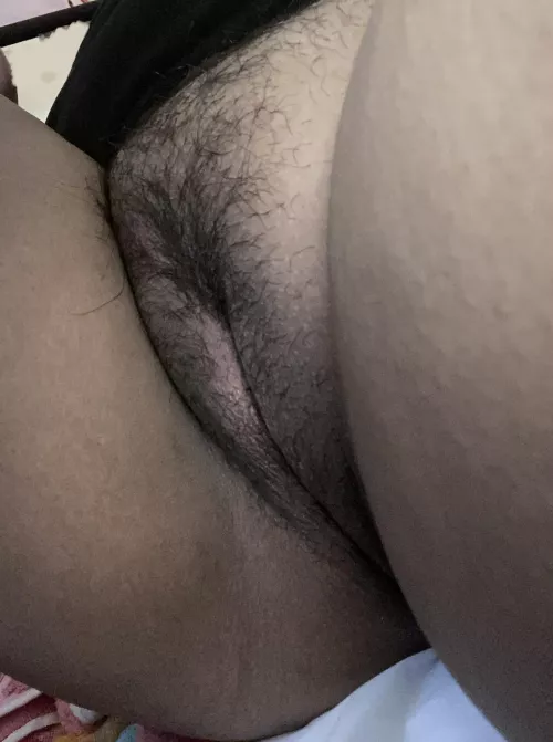 Hi by st0nerpuppycat