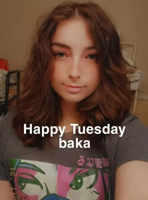 Hi...baka... by Nightowl1320