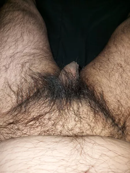 Hides my cock by Chubbypigg