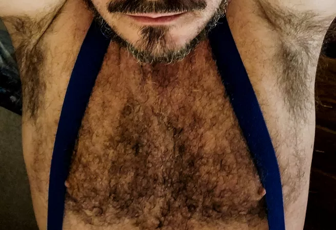 High contrast by hrh409