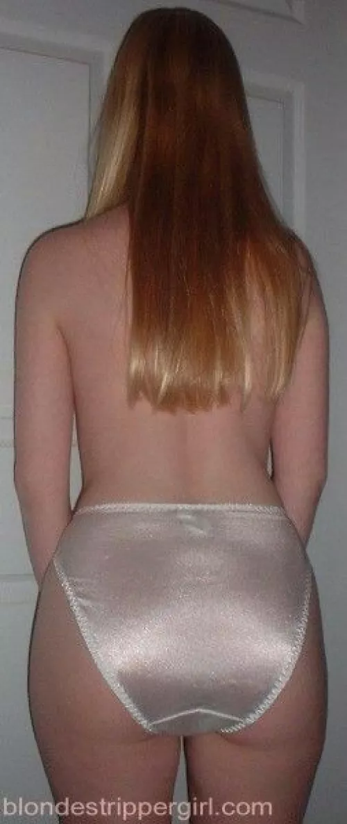 High waisted silver by panty_overload