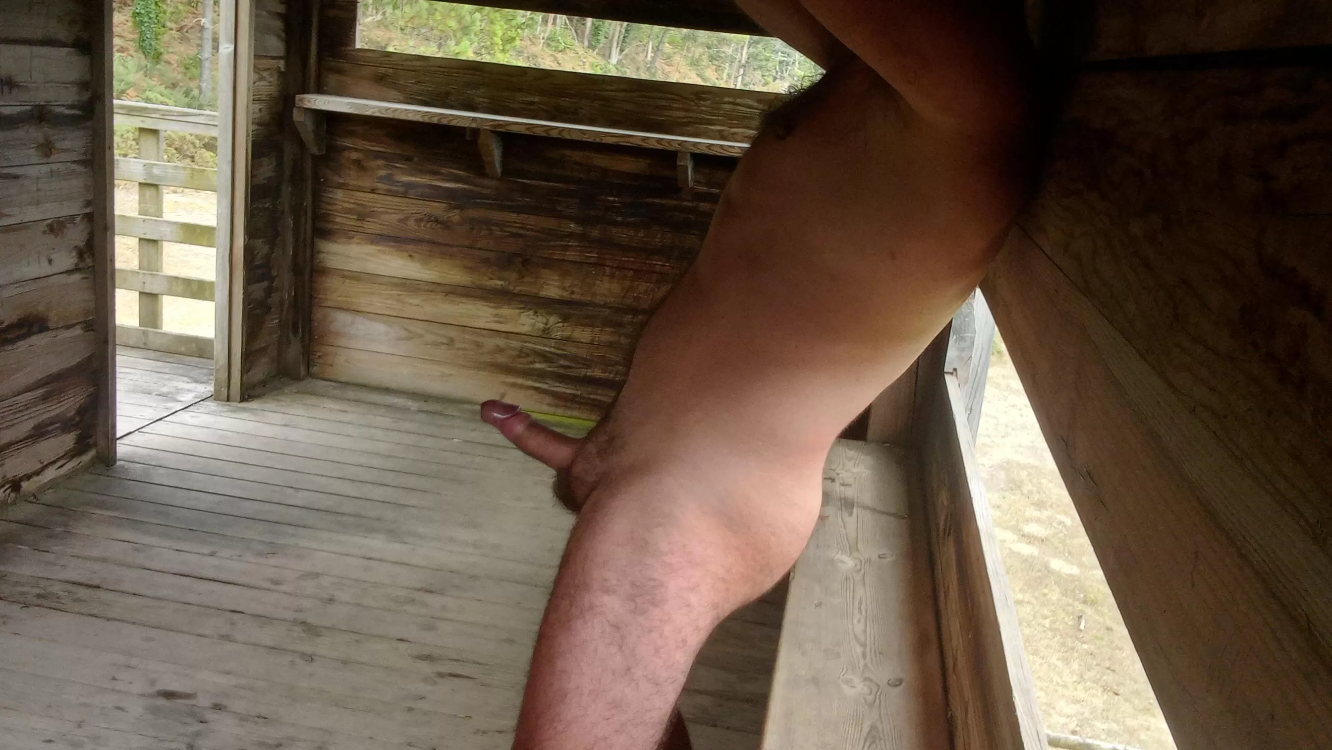 Hiking for the river... BIRD watching hut 🦅 posted by nakedbodyworld